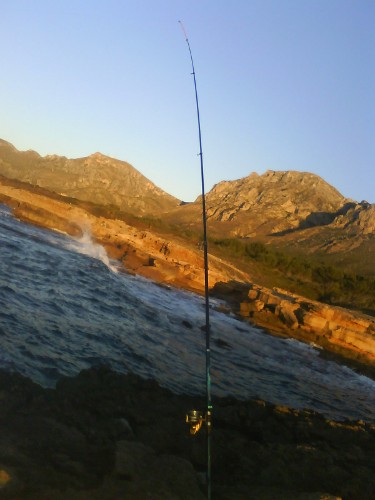 Pescando gamusinos